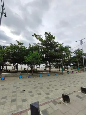 a park with blue chairs and trees in the background at Habitacion frente al mar en Tolú in Santiago