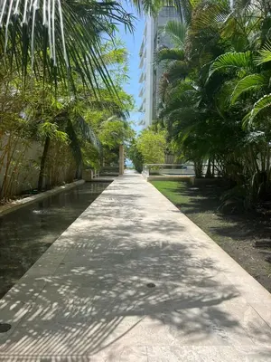 a pathway with palm trees and a tall building at Morros Vitri directo al Mar in Cartagena de Indias