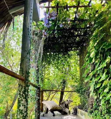 a ivycovered building with a pig and flowers on it at En La Casa Del Mar in Moñitos