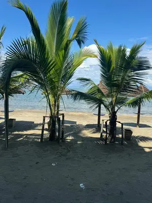 two palm trees on a sandy beach with the ocean at Moderno apartamento en Playas del Francés