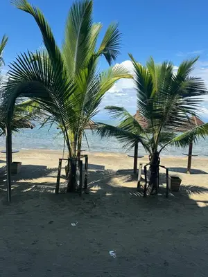 two palm trees on a sandy beach with the ocean at Aves de Laguna Beach in Trementino