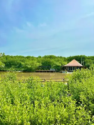 a river with a pavilion in the middle of it at Aves de Laguna Beach in Trementino
