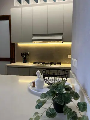 a kitchen with a counter with a potted plant on it at Casa Pozo del Carretero in Cartagena de Indias