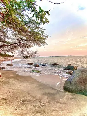 a beach with rocks and water and a tree at Anny Luxury Apartment - Santa Marina in Santa Marta