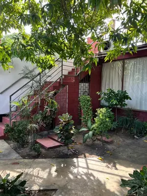 a house with a bunch of plants in front of it at Hoteles & Restaurantes Doña Nerta in Cartagena de Indias