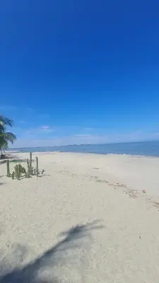 a shadow of a palm tree on a beach at Living Sunset by Santa Marina in Santa Marta