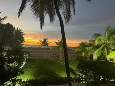 a view of a lawn with palm trees at sunset at Marabierto Beachfront Escape in Arizona