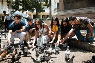 a group of people feeding pigeons on the ground at City Tour por Cartagena con entradas in Cartagena de Indias