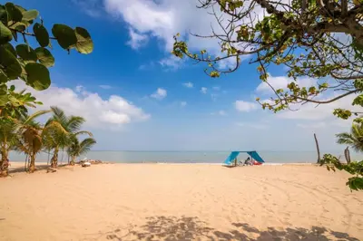 a sandy beach with palm trees and the ocean at Magico Apartamento Frente al Mar 3 Habitaciones AR53 in Coveñas