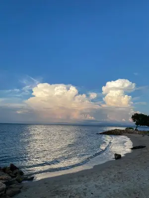 a beach with a tree and water and clouds at Las Margaritas Frente al Mar 1 in Coveñas