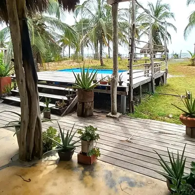a wooden deck with plants and a swimming pool at Coco y arena cabaña frente al mar, lejos del turismo y cerca a los manglares in San Bernardo del Viento