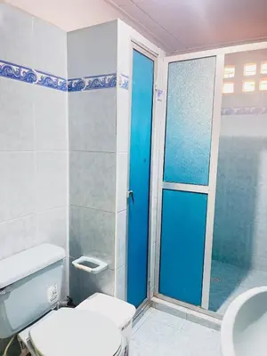 a bathroom with a toilet and a blue door at Lilis house in Cartagena de Indias