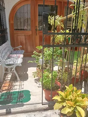 a porch with a bench and potted plants in front of a door at apartaestudio ideal manga in Cartagena de Indias