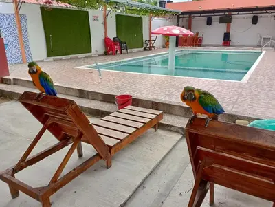 two birds sitting on a chair next to a pool at Cabaña villa in Sabanagrande