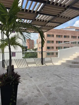 a palm tree on the roof of a building at Apartamento en la mejor zona de Barranquilla in Barranquilla