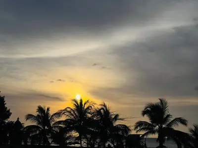 a sunset with palm trees in front of the ocean at Apartaestudio con Jacuzzi Privado y Vista al Mar in Cartagena de Indias