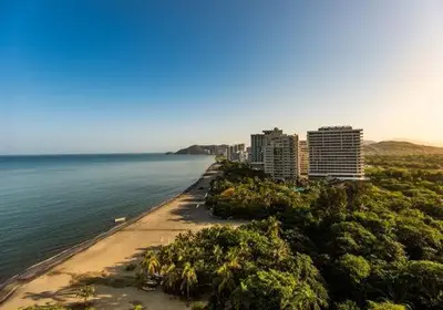 a beach with palm trees and buildings and the ocean at Apto con playa, hotel y piscina in Santa Marta
