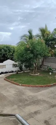 a tree in the middle of a driveway at Espectacular casa, vista al mar y piscina privada in Santa Veronica