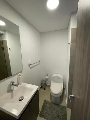 a bathroom with a toilet and a sink and a mirror at An apartment in Serena del Mar in Serena del Mar