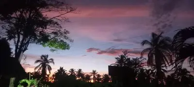 a sunset with palm trees in the foreground at DLuchy Casa Finca Rural cerca al mar in San Bernardo del Viento