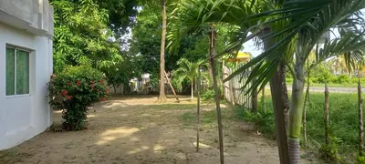 a yard with palm trees next to a building at DLuchy Casa Finca Rural cerca al mar in San Bernardo del Viento