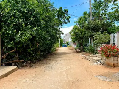 an empty dirt road with trees and bushes at Apto con piscina a 7 min caminando de playa Bello Horizonte in Santa Marta