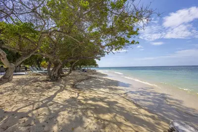 a sandy beach with trees and the ocean at 4BR Seaview Apartment at Calablanca D5 in Cartagena de Indias