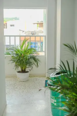 a room with two potted plants on a balcony at Almería Apt, Stylish Modern Studio Near Centro in Cartagena de Indias