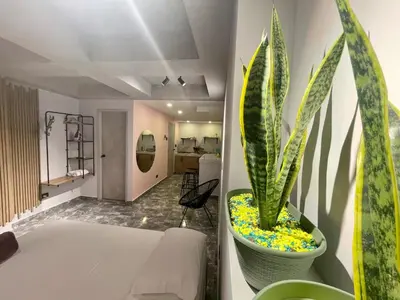 a bathroom with a white tub and a potted plant at Almería Apt, Stylish Modern Studio Near Centro in Cartagena de Indias