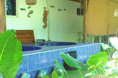 a blue tiled tub in a room with plants at Mango Tree Island 420 in Tierra Bomba