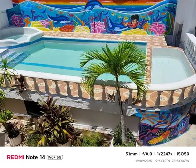 a pool with a palm tree in front of a building at Hotel donde Tito in Tolú