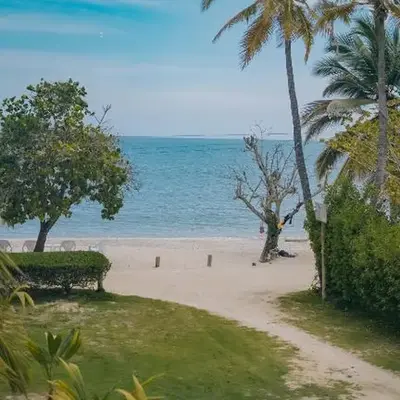 Cispata caribe