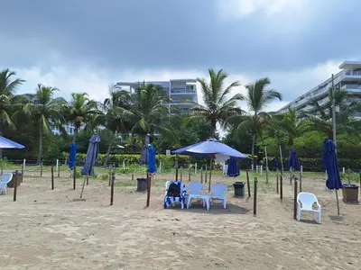 a beach with blue umbrellas and chairs on the sand at Cartagena playa uso exclusivo Serena del mar in Cartagena de Indias