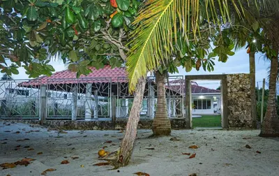 a building with a palm tree in front of it at Casa La Altamar in Coveñas