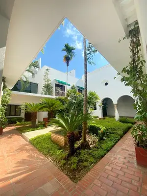 a courtyard with palm trees and a building at Apartamento en el centro historico de Cartagena in Cartagena de Indias