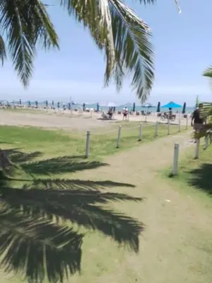 a shadow of a palm tree on the beach at Encanto de Serena in Manzanillo del Mar