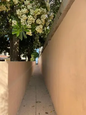 a concrete wall with a tree in the background at Habitacion Manglares 101 in Coveñas