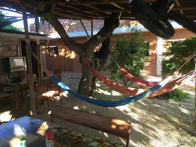 a hammock tied to a tree in a yard at Hotel Pizzeria Opera Tolú in Tolú