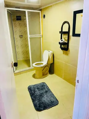 a bathroom with a shower and a toilet and a rug at Tu Casa con Vista al Mar , Laguito-Bocagrande in Cartagena de Indias