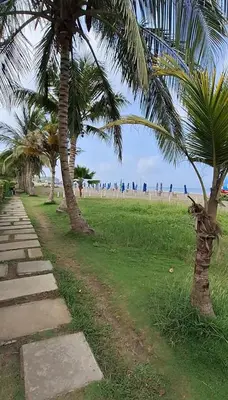 a pathway with palm trees on the beach at Cartagena zona norte playa uso exclusivo in Cartagena de Indias