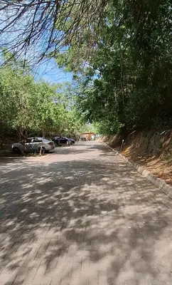 a tree lined street with cars parked on the side at Cartagena zona norte playa uso exclusivo in Cartagena de Indias