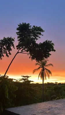 a palm tree with a sunset in the background at Isla Rosa Coveñas - Alojamiento in Coveñitas