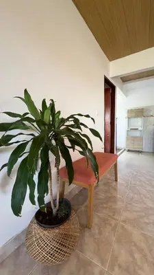 a potted plant in a room with a bench at Apartamento 6 pax in Estación El Salto