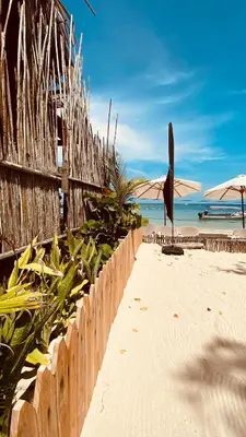 a sandy beach with a fence and an umbrella at Rocha Beach Club in Playa Blanca