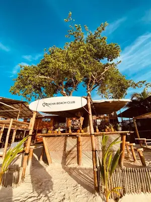 a tree in front of a restaurant on the beach at Rocha Beach Club in Playa Blanca