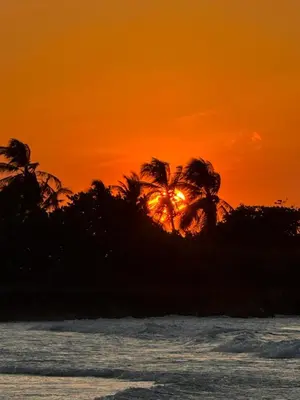 an orange sunset with palm trees on the beach at Villa del Atardecer Caribeño - JhonLimar in Bocachica