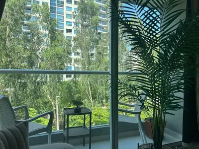 a room with a window with chairs and a plant at Confortable Apartamento in Barranquilla