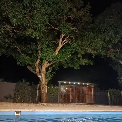 Mango Beach
