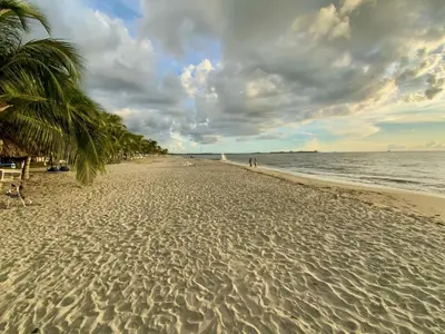 a sandy beach with palm trees and the ocean at VISTA BAHIA Santa Marina Santa Marta in Santa Marta
