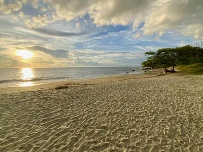 a sandy beach with a tree and the ocean at VISTA BAHIA Santa Marina Santa Marta in Santa Marta
